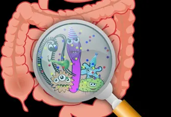 Qué podemos hacer para evitar las lombrices intestinales