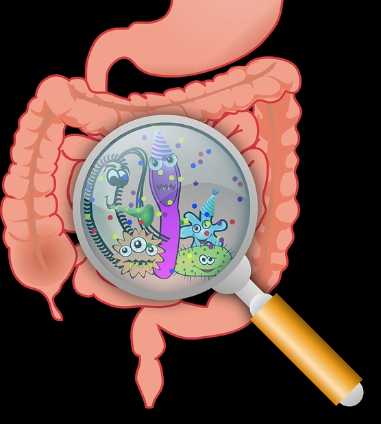 Qué podemos hacer para evitar las lombrices intestinales