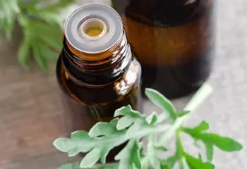 Medicamentos de Nobel: la artemisinina