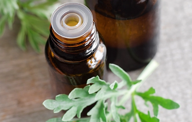 Medicamentos de Nobel: la artemisinina