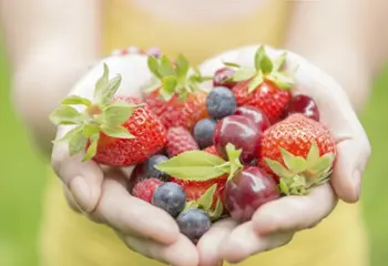 Día Mundial de la Alimentación