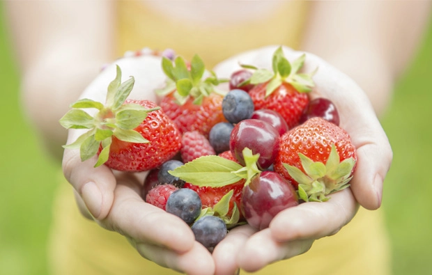 Día Mundial de la Alimentación