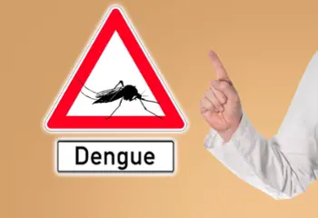 Día Internacional contra el Dengue