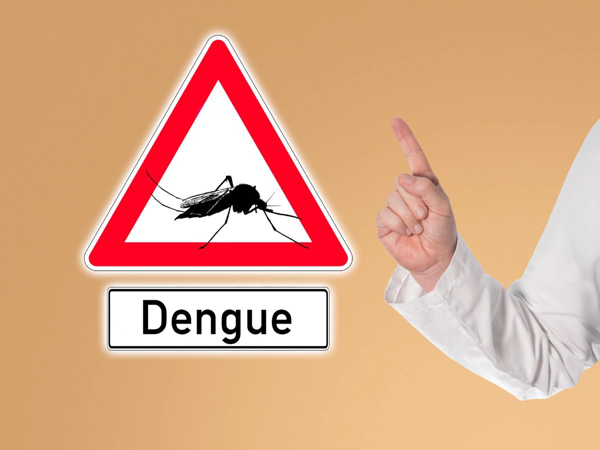 Día Internacional contra el Dengue
