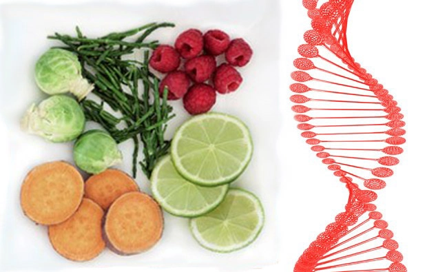 Dietas que curan: nutrigenómica y epigenética