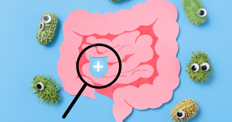 Microbiota: el nuevo campo de la salud