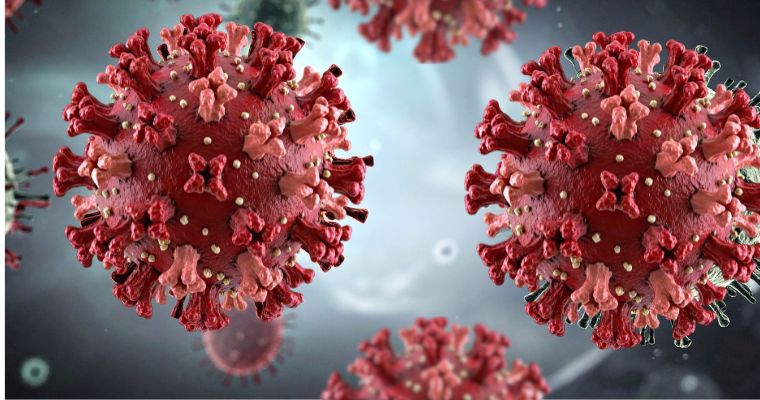 Hantavirus, ¿qué es y cómo se transmite?