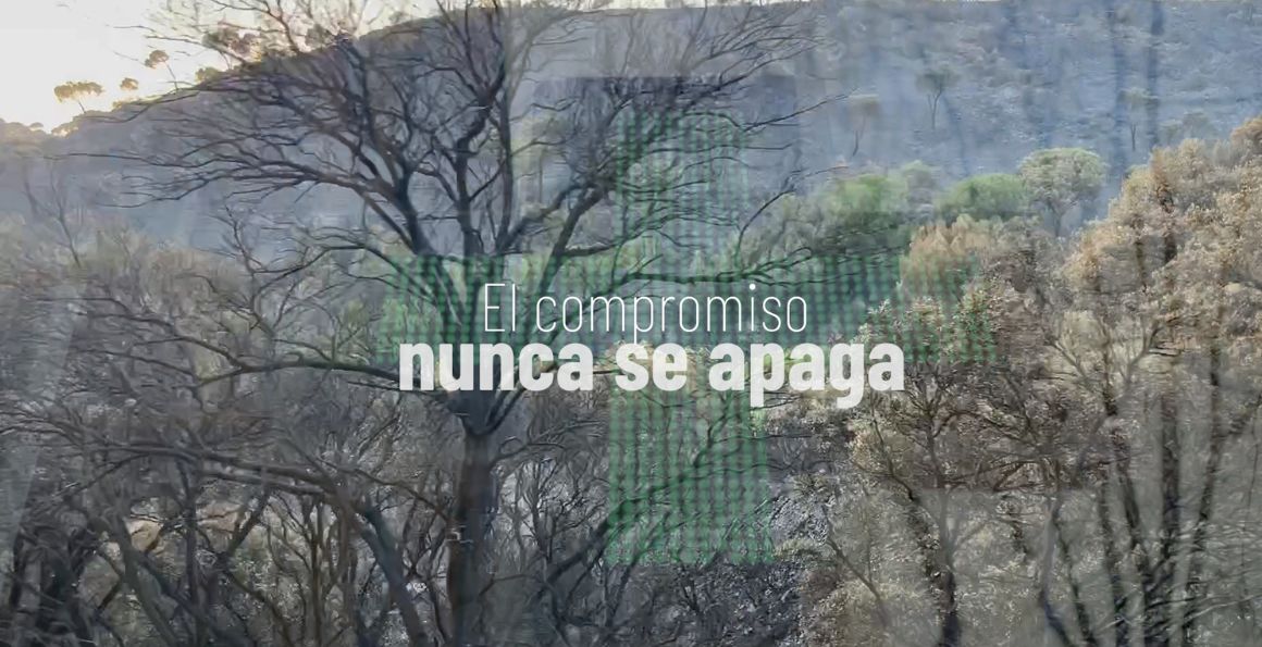 En primera línea